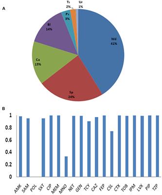 Multilocus Sequence Typing Analysis of Carbapenem-Resistant Acinetobacter baumannii in a Chinese Burns Institute